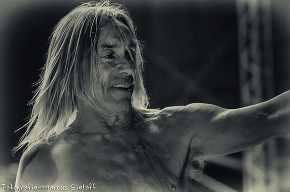 Iggy Pop